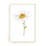 Daisy Print, Watercolor Daisy Painting, Daisy Art, Floral Art, Floral Print, Daisy Flower Art - Emilie Taylor Art