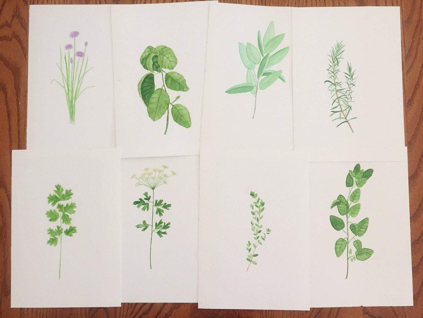 Chives Watercolor Painting, Kitchen Wall Art, Herb Painting, Botanical Art print, Gardener Gift Emilie Taylor Art