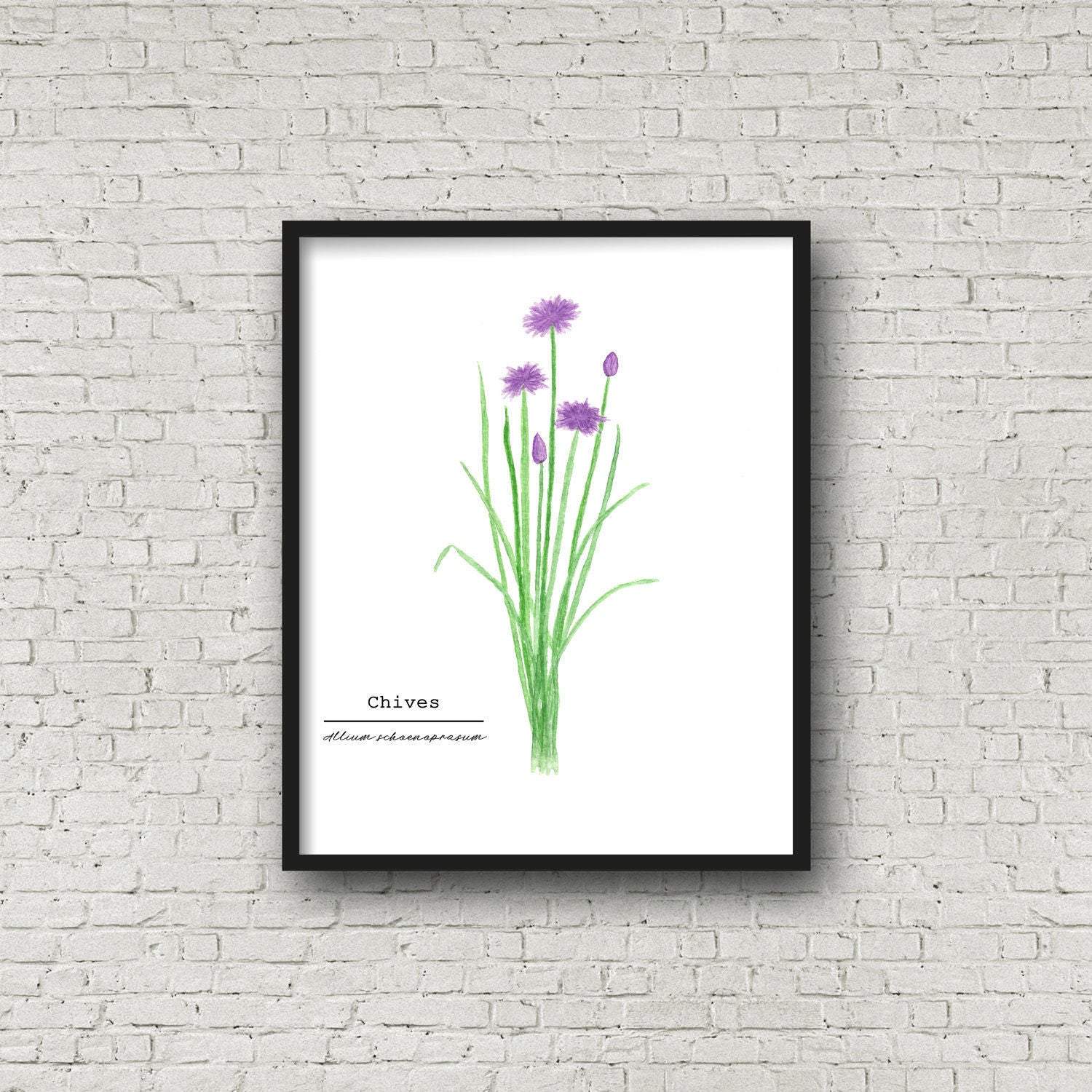 Chives Watercolor Painting, Kitchen Wall Art, Herb Painting, Botanical Art print, Gardener Gift Emilie Taylor Art
