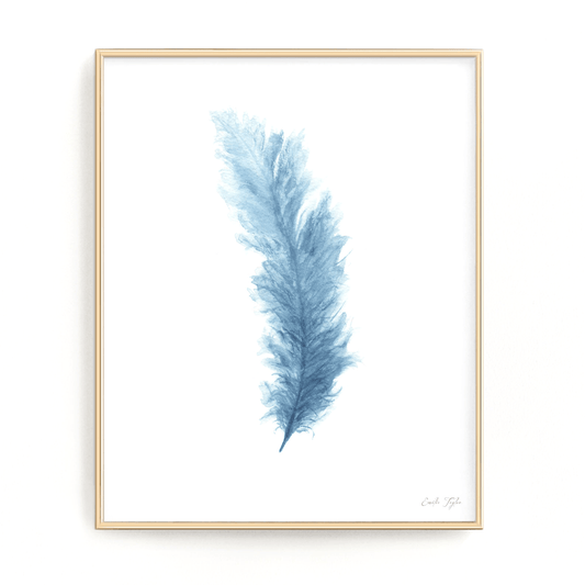 Colored Watercolor Feather Painting, Feather Print Emilie Taylor Art