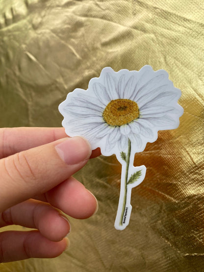 Daisy Decal, Watercolor Daisy Sticker, Mini Flower Decal, Flower Sticker Emilie Taylor Art