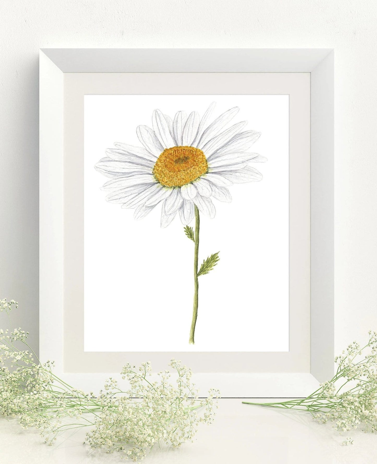 Daisy Print, Watercolor Daisy Painting, Daisy Art, Floral Art, Floral Print, Daisy Flower Art Emilie Taylor Art