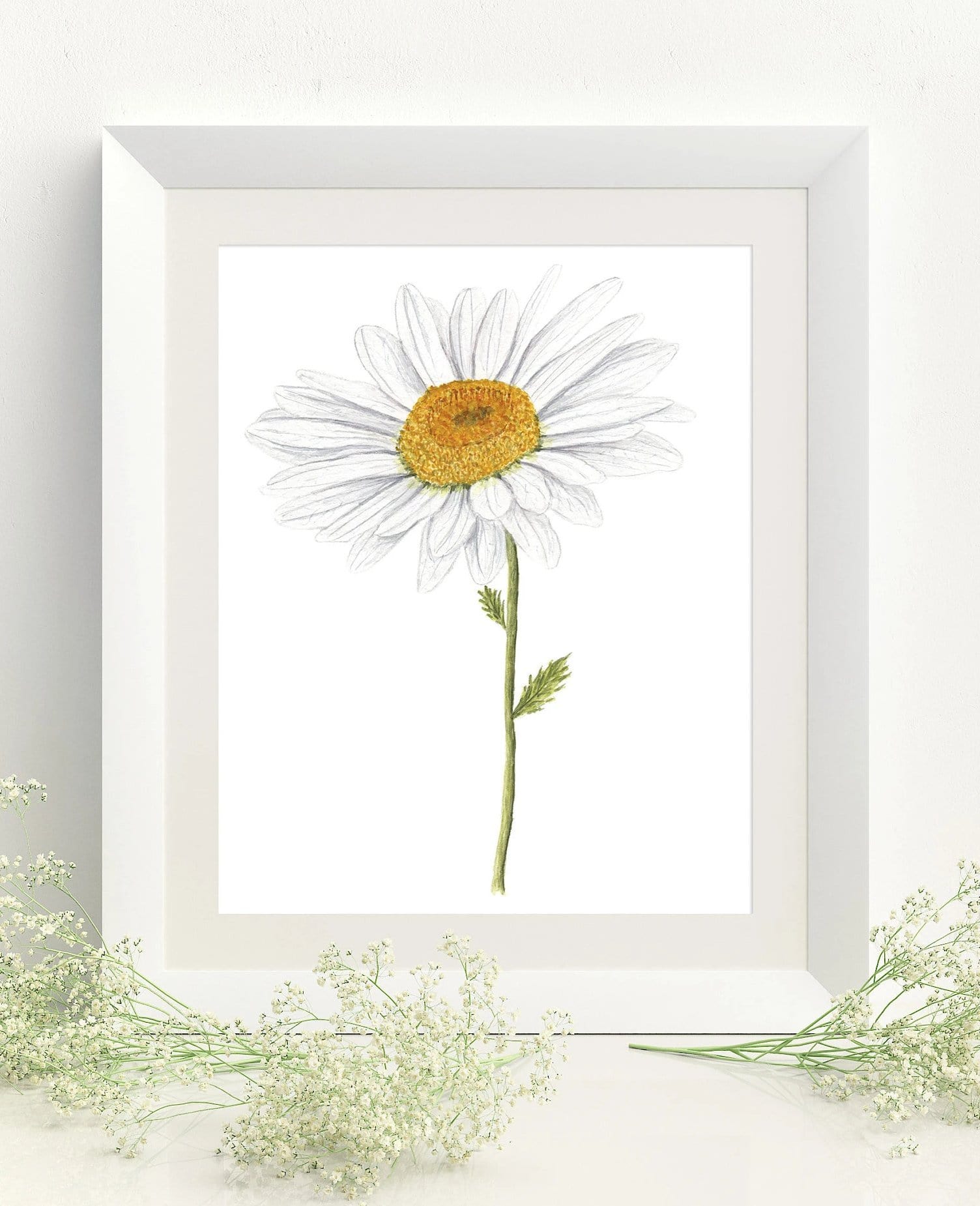 Daisy Print, Watercolor Daisy Painting, Daisy Art, Floral Art, Floral Print, Daisy Flower Art Emilie Taylor Art