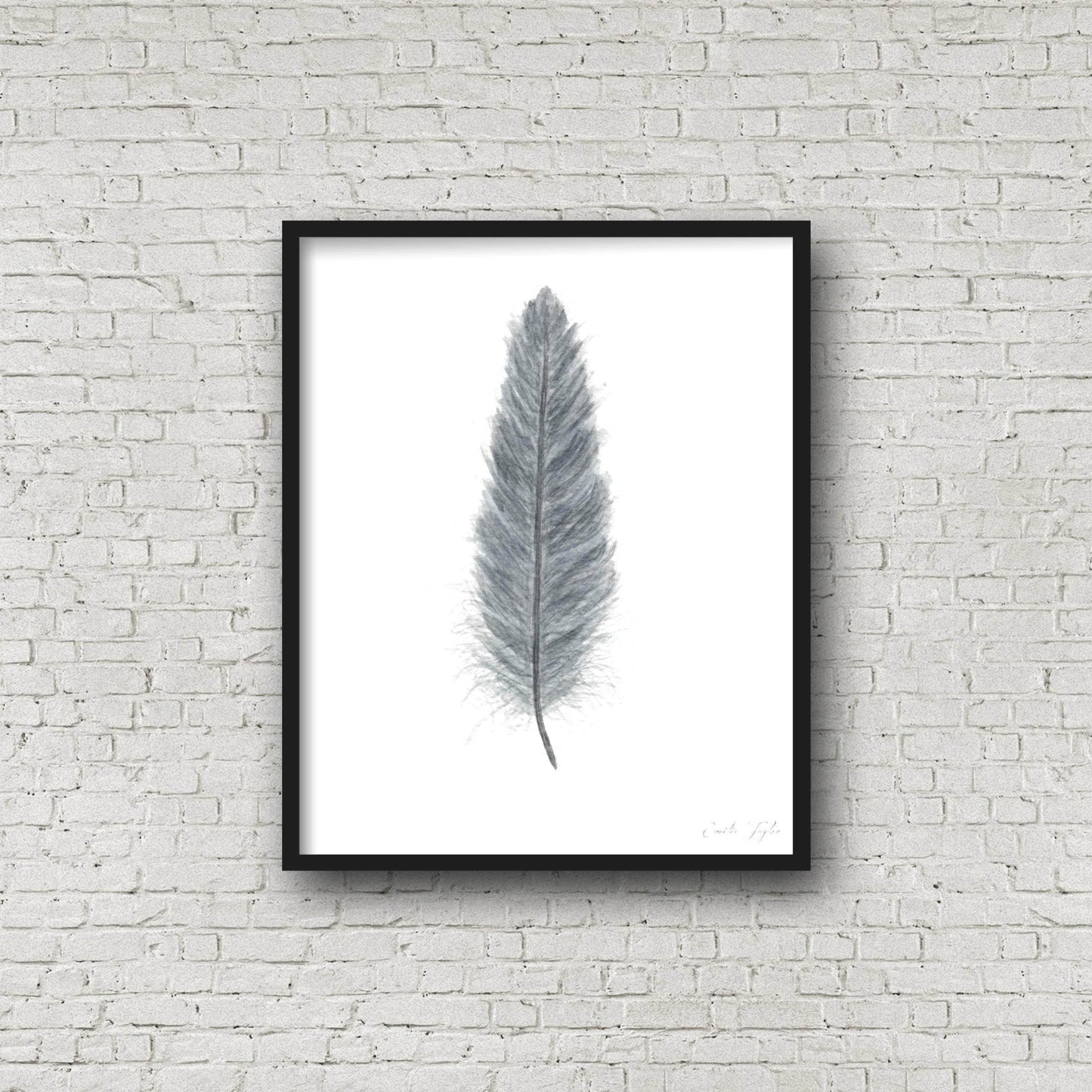 Dark Gray Watercolor Feather, Feather Print, Gray Feather decor Emilie Taylor Art