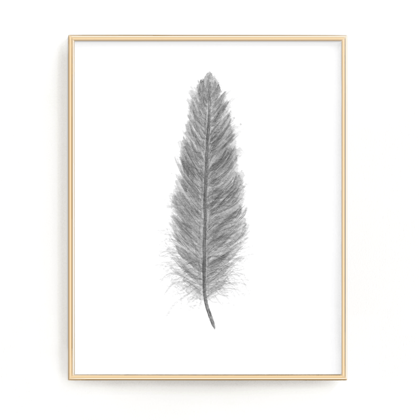 Dark Gray Watercolor Feather, Feather Print, Gray Feather decor Emilie Taylor Art