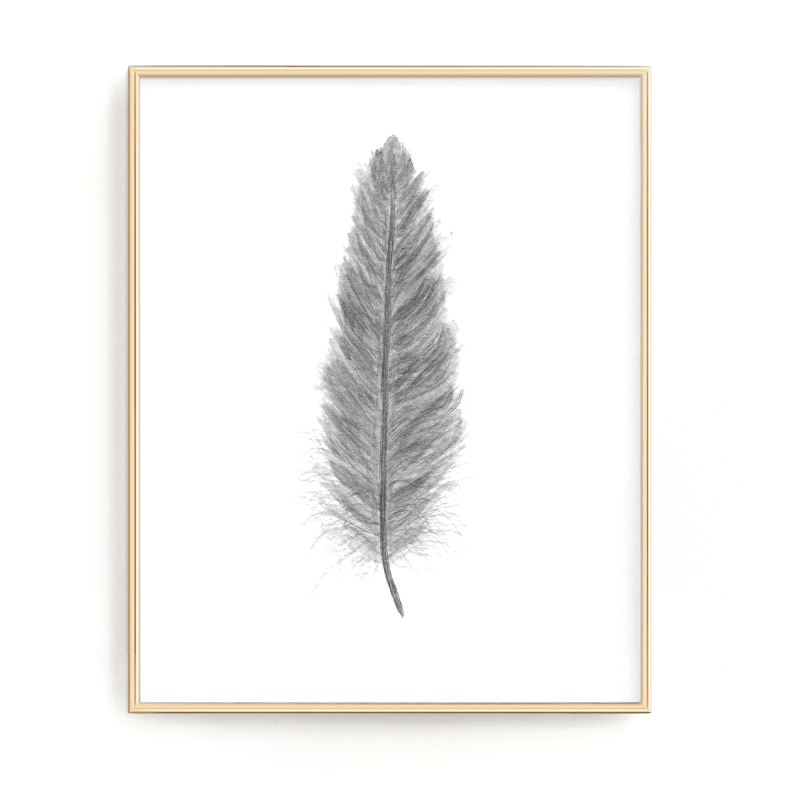 Dark Gray Watercolor Feather, Feather Print, Gray Feather decor Emilie Taylor Art