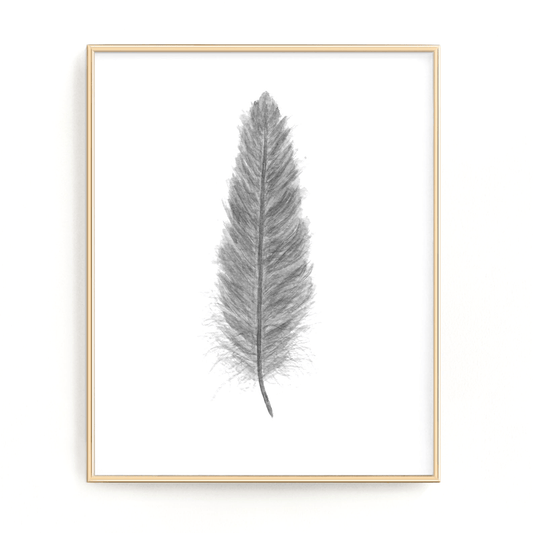 Dark Gray Watercolor Feather, Feather Print, Gray Feather decor Emilie Taylor Art