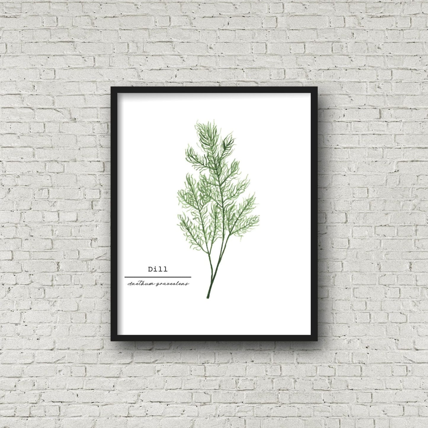 Dill Watercolor Painting, Kitchen Wall Art, Herb Painting, Botanical Art, Gardener Present Emilie Taylor Art