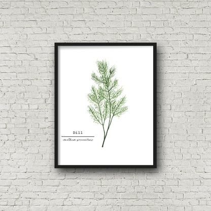 Dill Watercolor Painting, Kitchen Wall Art, Herb Painting, Botanical Art, Gardener Present Emilie Taylor Art