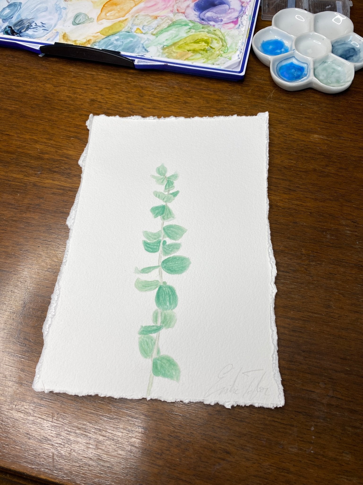 Eucalyptus set of two Original Paintings Emilie Taylor Art