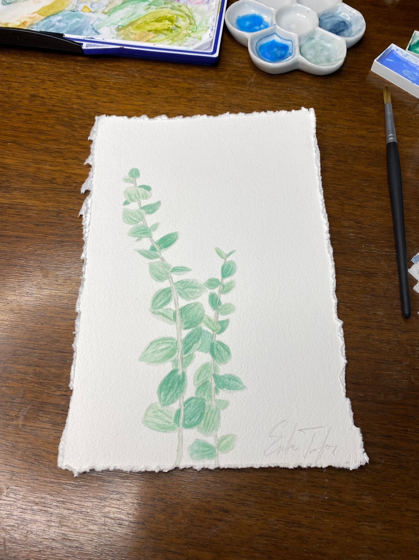 Eucalyptus set of two Original Paintings Emilie Taylor Art