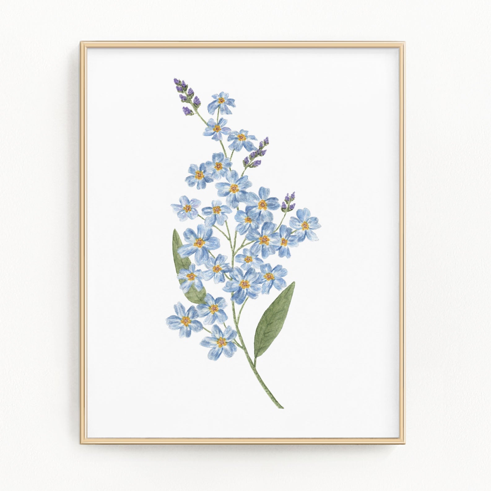 Forget Me Not Print, Watercolor Forget Me Nots Painting, Blue Floral Art, Blue Flowers Emilie Taylor Art