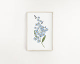Forget Me Not Print, Watercolor Forget Me Nots Painting, Blue Floral Art, Blue Flowers