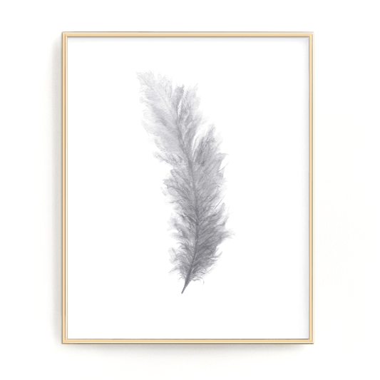 Gray Watercolor Feather Painting, Feather Print, Bird Feather, Home Decor, Grey Decor, Feather art Emilie Taylor Art