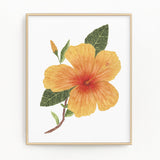 Watercolor Hibiscus, Hibiscus Painting, Hibiscus Art, Floral Art, Floral Print, Tropical Floral