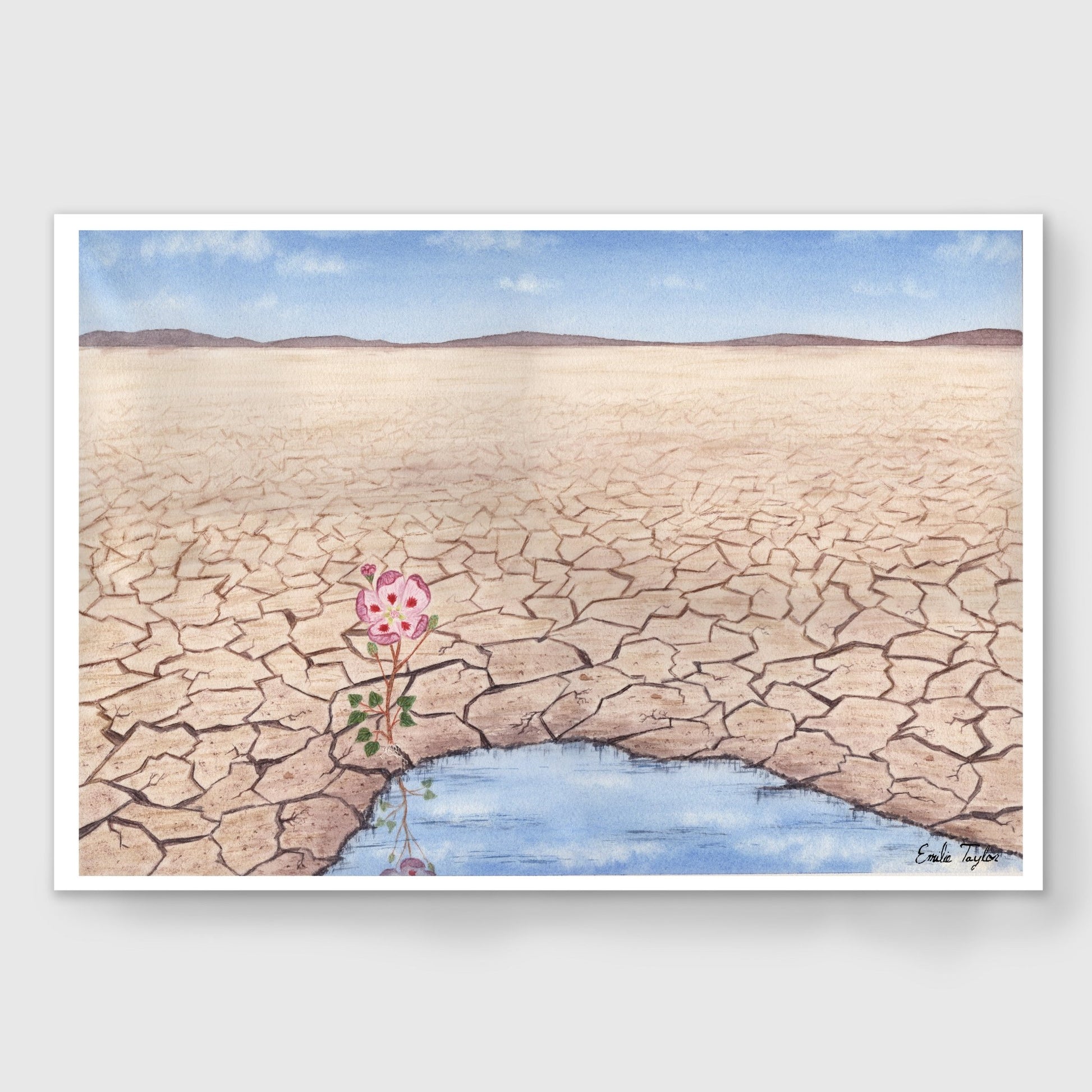 Hope is a Seed You have to Sow Limited Edition Print Emilie Taylor Art