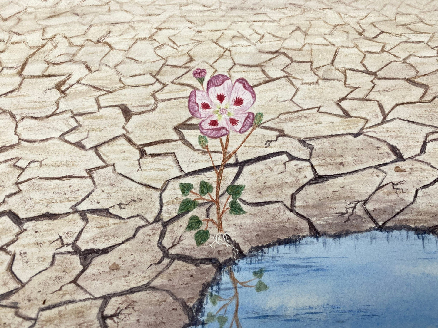 Hope is a Seed you have to Sow Original Painting Mated to size 18x24 Emilie Taylor Art