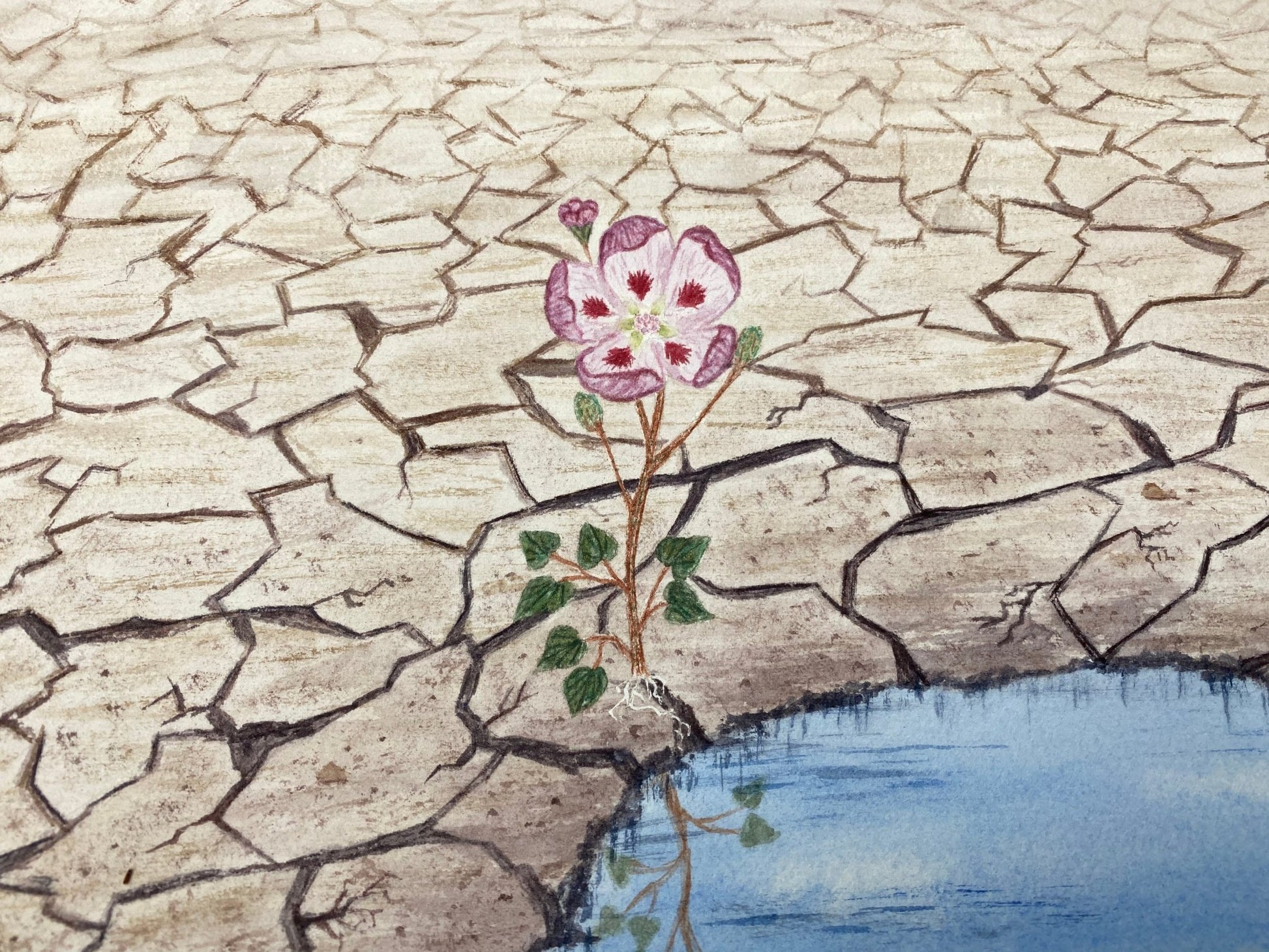 Hope is a Seed you have to Sow Original Painting Mated to size 18x24 Emilie Taylor Art