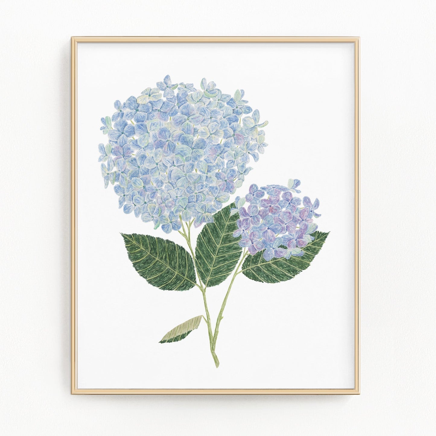 Hydrangea Print, Watercolor Hydrangea Painting, Blue Floral Art, Floral Print Emilie Taylor Art