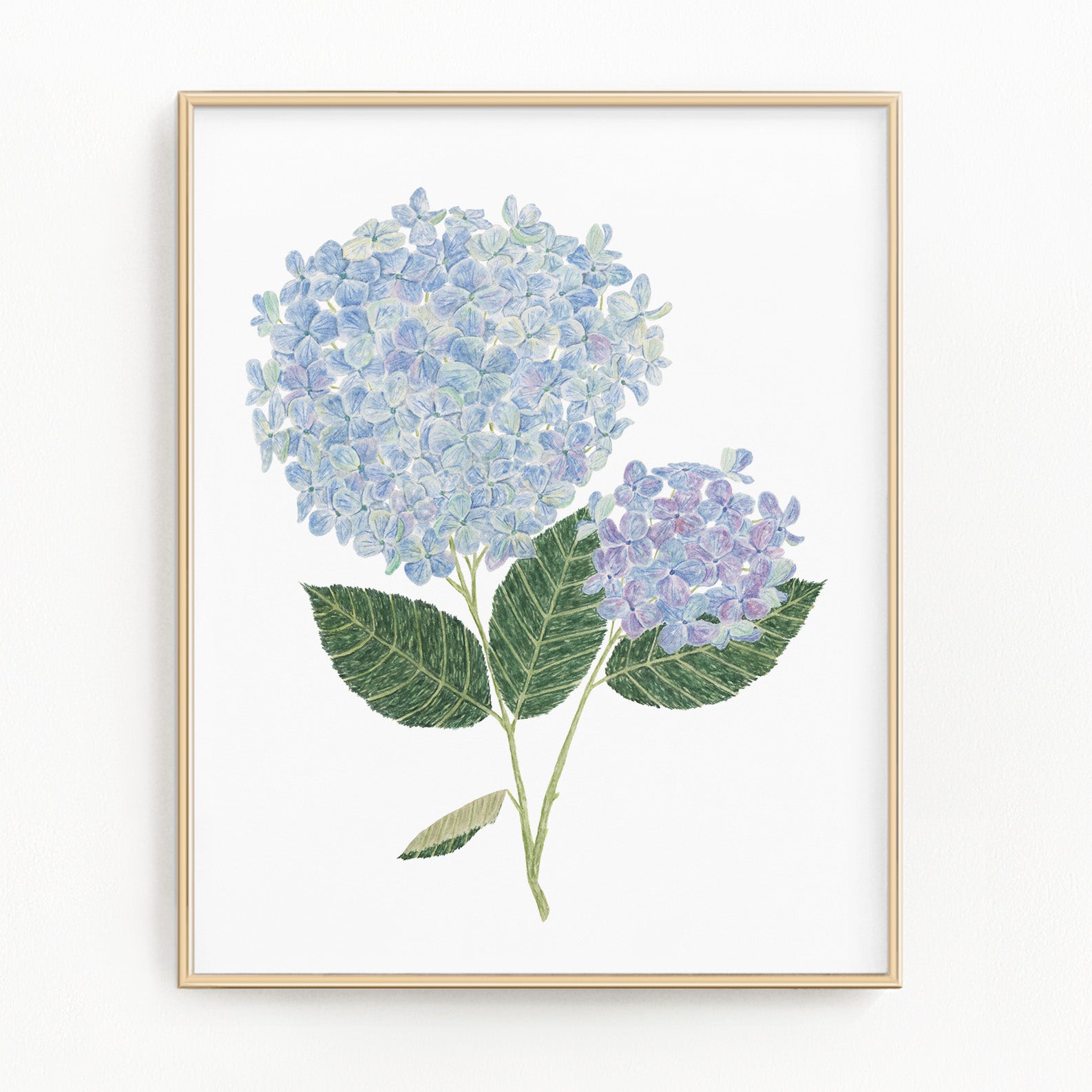 Hydrangea Print, Watercolor Hydrangea Painting, Blue Floral Art, Floral Print Emilie Taylor Art