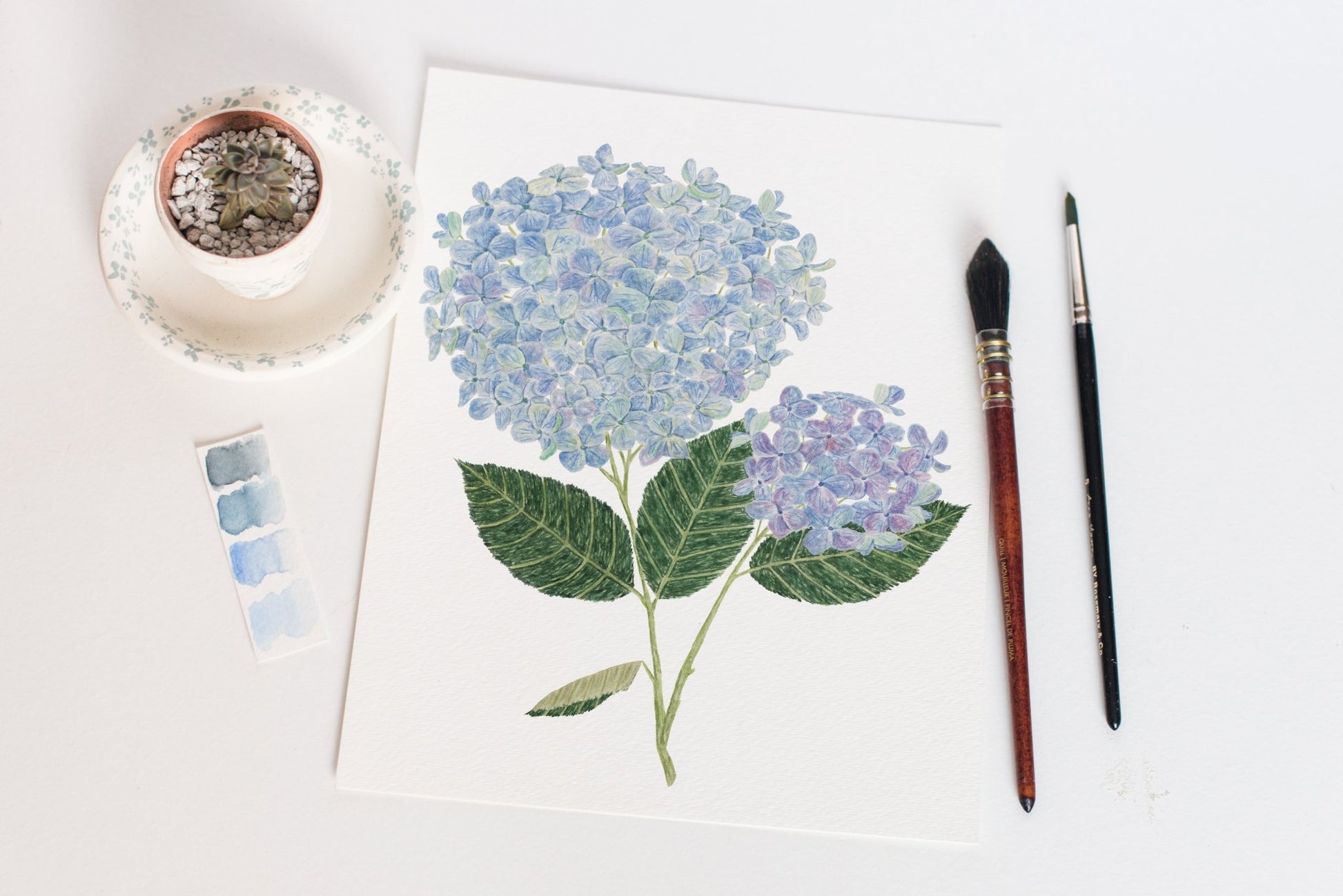 Hydrangea Print, Watercolor Hydrangea Painting, Blue Floral Art, Floral Print Emilie Taylor Art