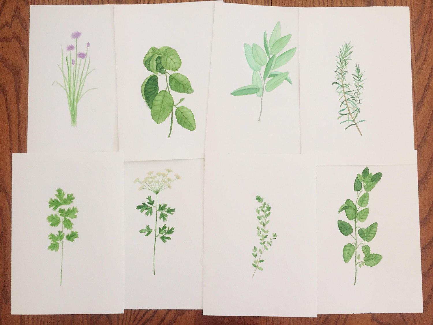 Herbs Watercolor popular Painting, Kitchen Wall Art Set of 5 Prints, Kitchen Poster Print, Watercolor Herbs Prints, Food Art, Kitchen Paintings