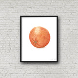 Watercolor Orange Painting, Kitchen Art, Dining Room Decor, Fruit Painting, Watercolor oranges - Emilie Taylor Art