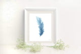 Colored Watercolor Feather Painting, Feather Print - Emilie Taylor Art
