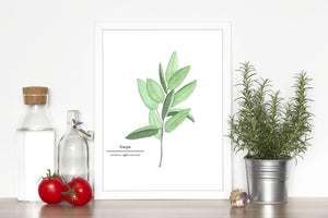Sage Watercolor Painting, Kitchen Wall Art, Herb Painting, Botanical Art, Gardener Present - Emilie Taylor Art