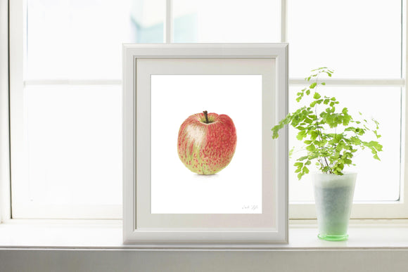 Watercolor Apple Painting, Apple Print, Dining Room Decor, Fruit Painting, Realistic Food Art, - Emilie Taylor Art