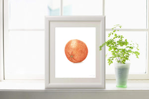 Watercolor Orange Painting, Kitchen Art, Dining Room Decor, Fruit Painting, Watercolor oranges - Emilie Taylor Art