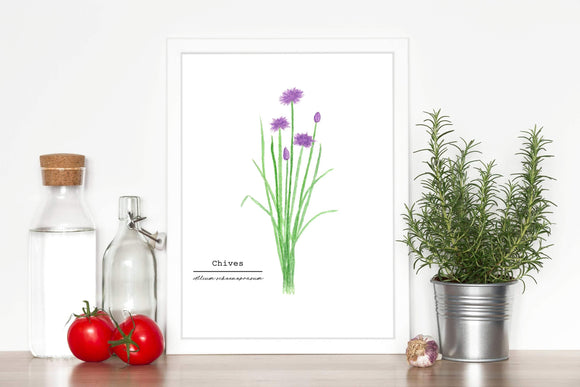 Chives Watercolor Painting, Kitchen Wall Art, Herb Painting, Botanical Art print, Gardener Gift - Emilie Taylor Art
