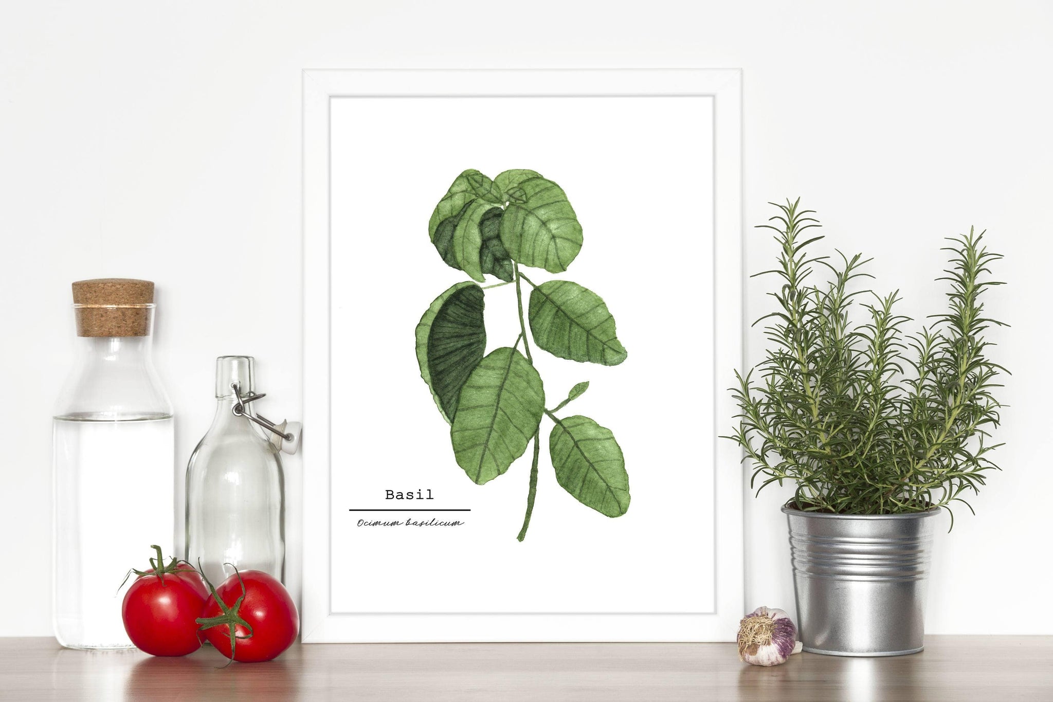 Original watercolor kitchen art of herbs sage, chocolate mint and oregano, Set 2024 of three 5 x 7 originals