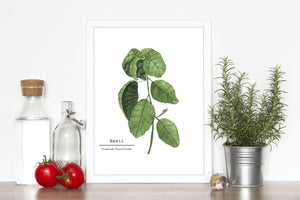 Basil Watercolor Painting, Kitchen Art, Mother's Day Gift, Herb Painting, Botanical Art - Emilie Taylor Art