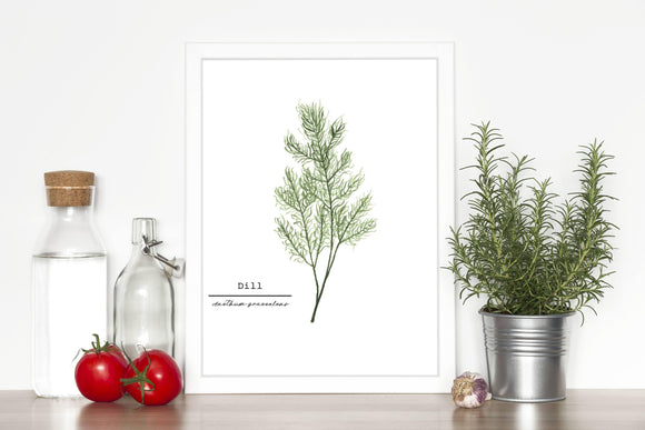 Dill Watercolor Painting, Kitchen Wall Art, Herb Painting, Botanical Art, Gardener Present - Emilie Taylor Art