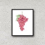 Watercolor Grapes Print, Kitchen Art, Grapes Decor, Fruit Print, Grape art vineyard Gift, Fruit Art - Emilie Taylor Art