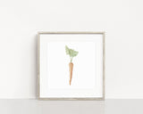 Watercolor Carrot Painting, Carrot art, DiningRoom Decor, Vegetable Print, Veggie Art, Gardener Gift - Emilie Taylor Art