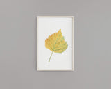 Watercolor Birch leaf Painting, Fall Decor, Leaf Print, Botanical Art, Birch Leaf, Birch Tree - Emilie Taylor Art