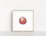 Watercolor Tomato Painting, Vegetable Print, Fruit Art, Gardener Gift, Watercolor Tomato print - Emilie Taylor Art