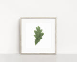 Watercolor Oak leaf Painting, Leaf Art, Fall Decor,  White Oak Leaf, Green leaf, Leaf decor - Emilie Taylor Art