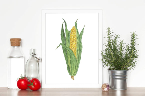 Watercolor Corn Painting, Corn on the Cob, Gardener Gift, Watercolor Garden, Yellow Corn Art - Emilie Taylor Art