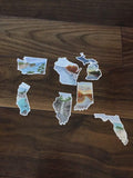 Arizona Decal, Watercolor Arizona Sticker, AZ Car Decal, waterproof State Decal, State Sticker - Emilie Taylor Art
