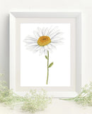 Daisy Print, Watercolor Daisy Painting, Daisy Art, Floral Art, Floral Print, Daisy Flower Art - Emilie Taylor Art