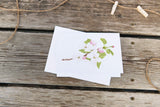 Watercolor Greeting Card, Floral Card, Flower Greeting Card, Flower Art, Apple blossom Art - Emilie Taylor Art