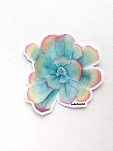Succulent Decal, Watercolor Succulent Sticker, Succulent Decal, Rainbow Sticker, Pastel Succulent - Emilie Taylor Art