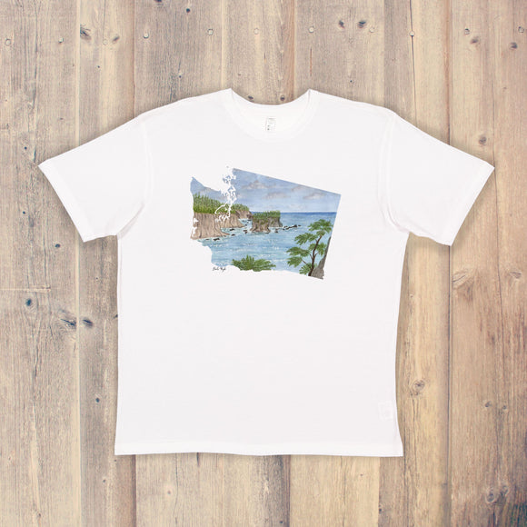 Washington T-shirt | Washington Tee | Home State Shirt | Washington State Pride Shirt | Cape Flattery WA