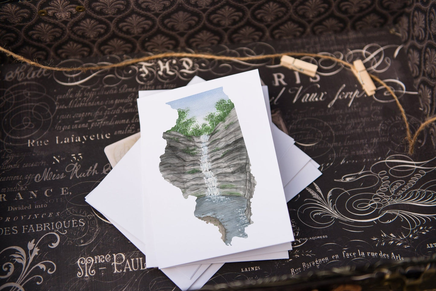Illinois Greeting Card, IL State Gift, Illinois NoteCard, Illinois Art Souvenir, IL Travel Gift Emilie Taylor Art