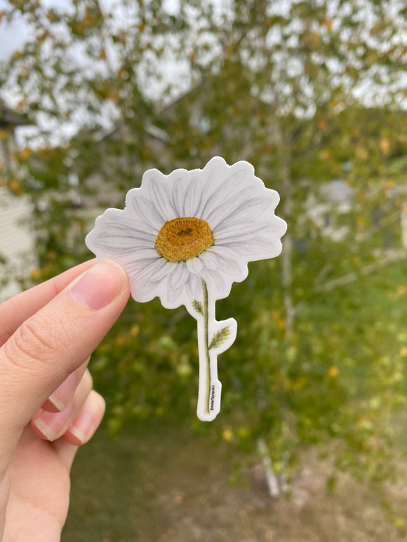 Daisy Decal, Watercolor Daisy Sticker, Mini Flower Decal, Flower Sticker
