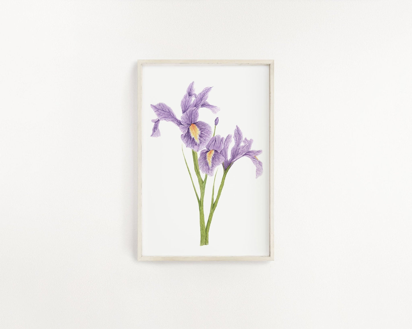 Iris Print, Watercolor Irises Painting, Iris Art, Floral Art, Floral Print, Purple Irises Emilie Taylor Art