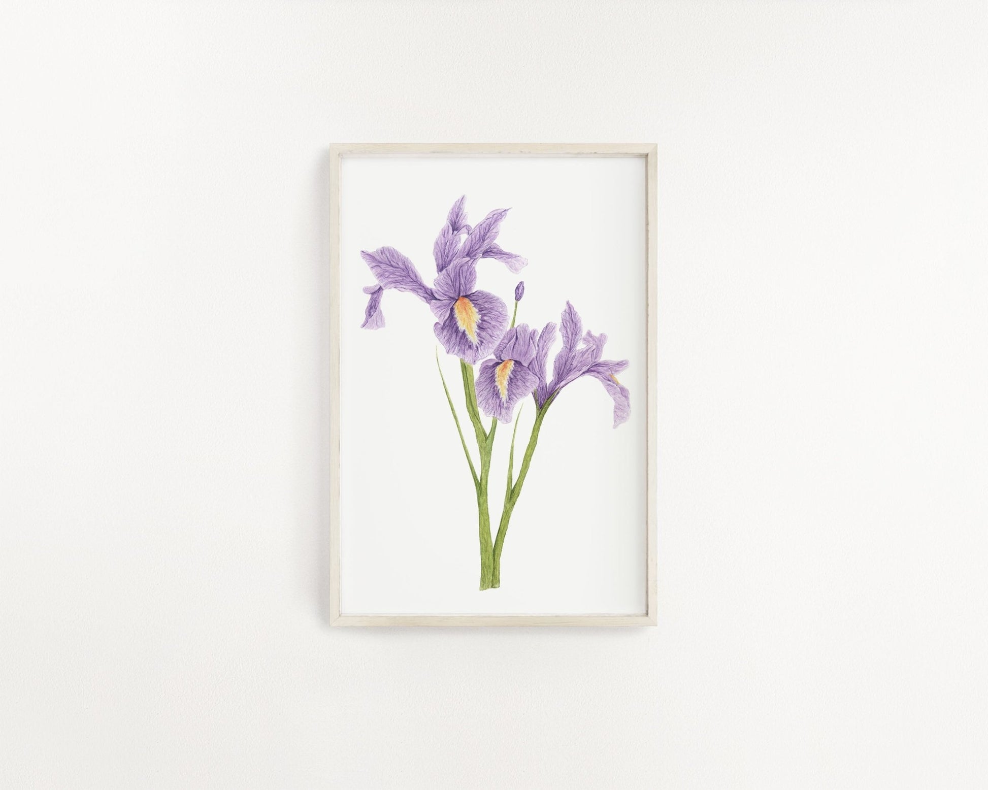 Iris Print, Watercolor Irises Painting, Iris Art, Floral Art, Floral Print, Purple Irises Emilie Taylor Art